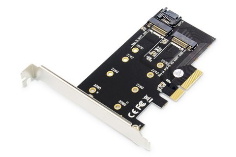 Karta rozszerzeń (Kontroler) M.2 NGFF/NVMe SSD PCIe 3.0 x4 SATA 80, 60, 42, 30 mm Digitus