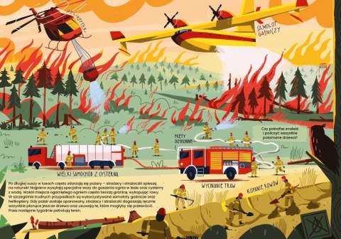 Książeczka Co robią strażacy i strażaczki Nasza księgarnia