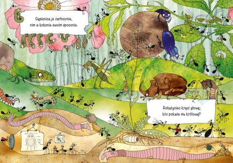 Książeczka Opowiem ci mamo, co robią mrówki Nasza księgarnia