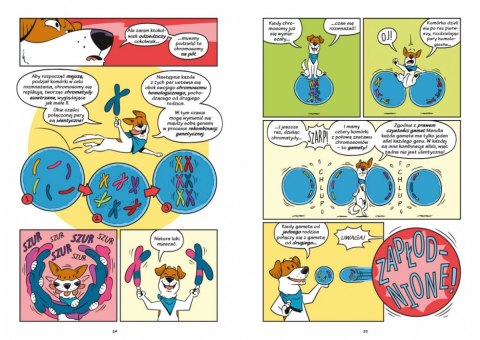 Książeczka Psy - od drapieżników do obrońców Nasza księgarnia