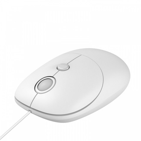 Mysz i011 Seagull IBOX