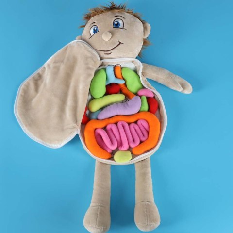 Lalka maskotka nauka anatomii chłopiec Kik Sp. z o. o. Sp. k.