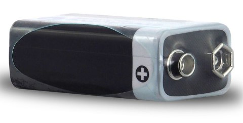 Bateria alkaliczna R9/6LR61 9V PRO ALKALINE, Opakowanie 10 szt. EverActive