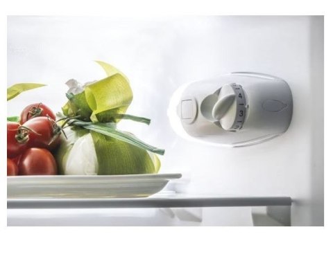 Chłodziarko-zamarażarka CCG1L314EW Candy