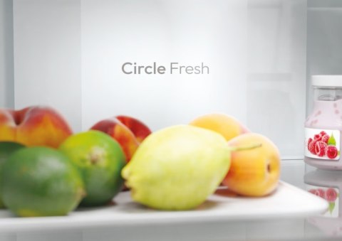 Chłodziarko-zamrażarka ECN2CQTEW186 Candy