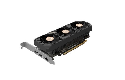 Karta graficzna GeForce RTX 5050 LP 8GB GDDR6 128bit 2DP/HDMI ZOTAC