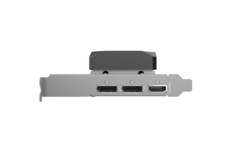 Karta graficzna GeForce RTX 5060 LP 8GB GDDR7 128bit 2DP/HDMI ZOTAC