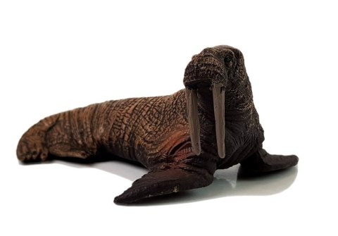 Figurki Edukacyjne Morskie Zwierzęta 8 Elementów Rekiny Foka Delfin Mors Żółw LEAN Toys