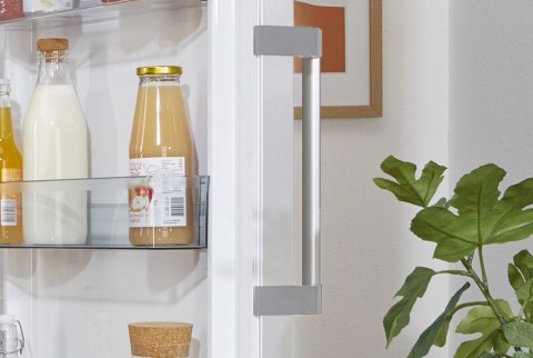 Chłodziarka R619EEW5 Gorenje