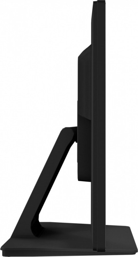 Monitor 23.8 cala T2452MSC-B1 10 PKT. POJ,IPS,HDMI,DP IIYAMA