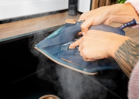 Żelazko parowe ZN9110 Concept