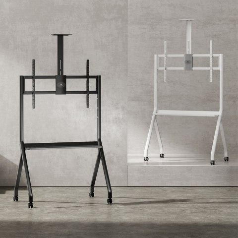 Stojak do TV na kółkach MC-114W Maclean