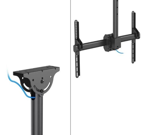 Uchwyt sufitowy TV/LCD CL35-440BL16XL 37-70 cali 50kg Neomounts