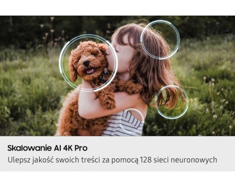 Telewizor OLED 48 cali QE48S90FAEXXH Samsung