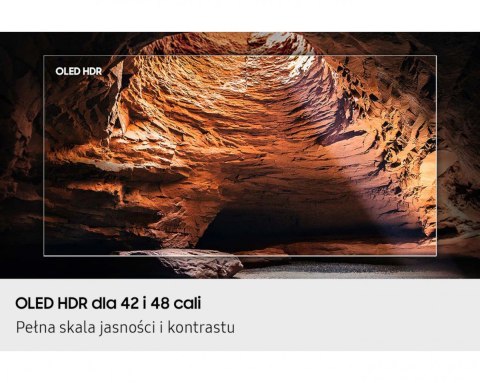 Telewizor OLED 48 cali QE48S90FAEXXH Samsung