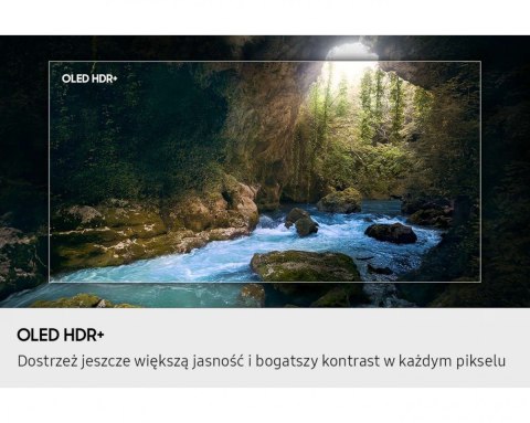 Telewizor OLED 48 cali QE48S90FAEXXH Samsung