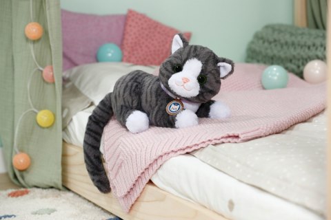 Maskotka interaktywna Baby Born Mój Kot Cookie z pudełkiem Zapf