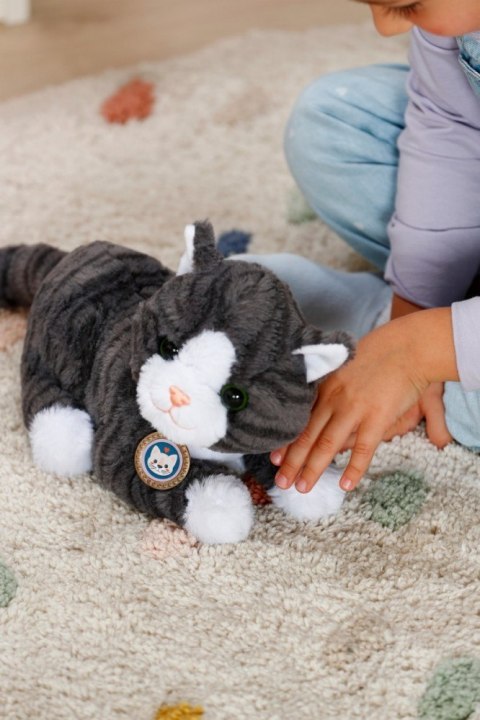 Maskotka interaktywna Baby Born Mój Kot Cookie z pudełkiem Zapf