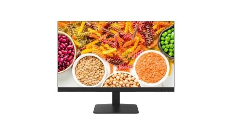 Monitor DS-D5024F2-1P2 Hikvision