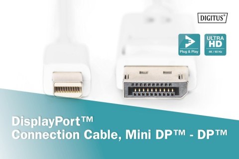 Kabel połączeniowy Displayport 4K 60Hz UHD Typ miniDP/DP M/M biały 2m Digitus