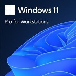 OEM Win Pro for Wrkstns 11 PL x64 HZV-00117 Microsoft