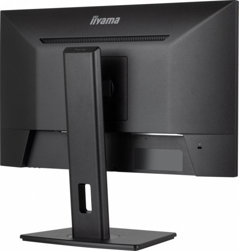 Monitor 24 cale XUB2493HSU-B7,IPS.HDMI.DP.2x2W.USBx2,300cd IIYAMA