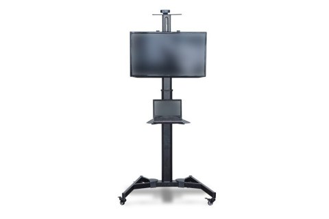 Stojak mobilny pojedynczy z półką, 1xLCD, max. 70", max. 50kg, VESA max. 600x400 pivot Digitus
