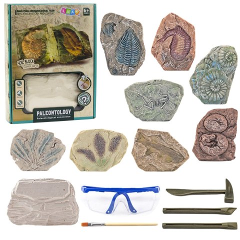 Zestaw Paleontologiczny Wykopaliska Blok Gipsowy Narzędzia LEAN Toys