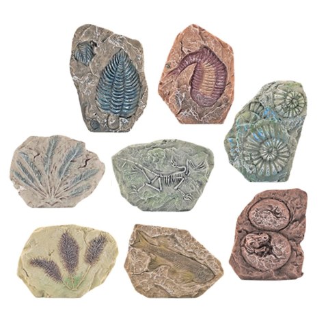 Zestaw Paleontologiczny Wykopaliska Blok Gipsowy Narzędzia LEAN Toys