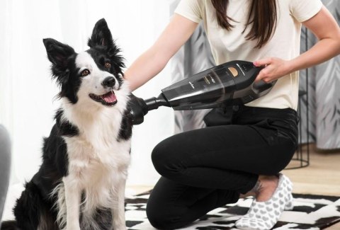 Odkurzacz ręczny VP4353 Concept