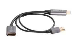 Adapter HDMI(M)-Displayport(F)4K na kablu 20cm srebrny Lanberg