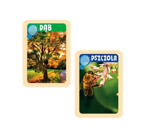 Naukowa Zabawa Odkrywcy Natury Lornetka Przyroda Język Polski Clementoni 50894 Clementoni