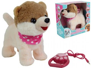 Maskotka interaktywna Piesek chodzący na smyczy Madej