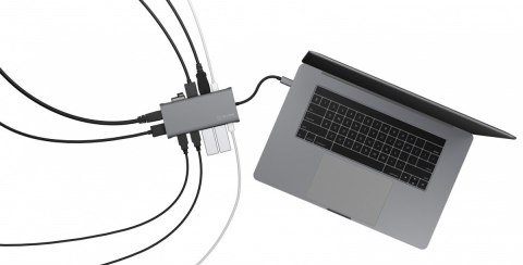 Stacja dokująca IB-DK4050-CPD 12w1 IcyBox