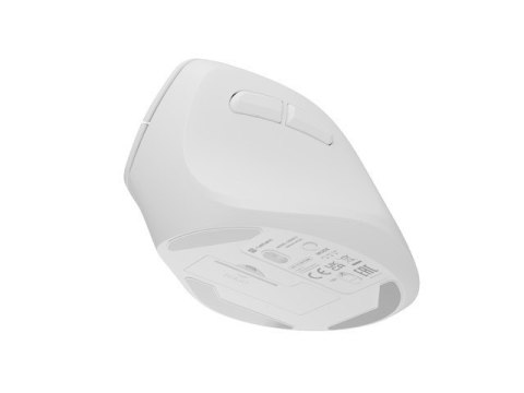 Mysz bezprzewodowa wertykalna Crake 2 BT 5.2 + 2.4GHz biała Natec