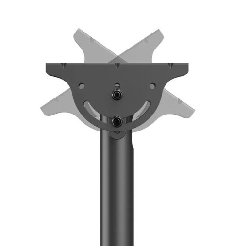 Uchwyt do monitora/TV CL35-440BL16L 37-70 cali 50kg Neomounts