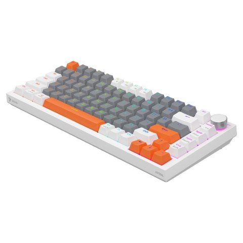 Klawiatura magnetyczna ASTRAL White OUTEMU White jade RGB 3 kolory keycapów Savio