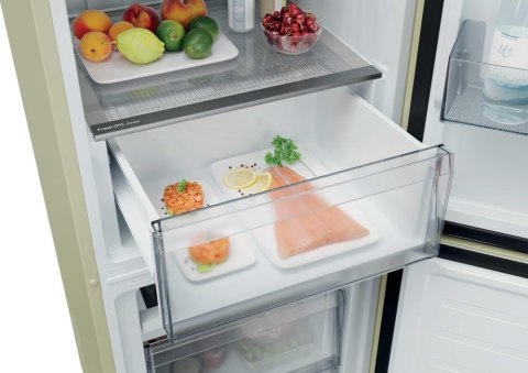 Chłodziarko-zamrażarka CNCQ2T518EC Candy