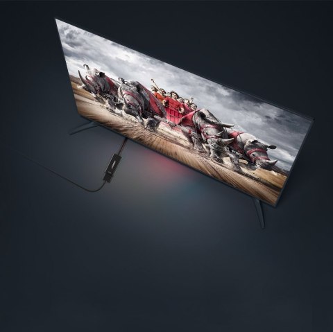 Przejściówka adapter jednokierunkowy z DisplayPort (męski) na HDMI (żeński) 1080P 60Hz 12bit czarny UGREEN