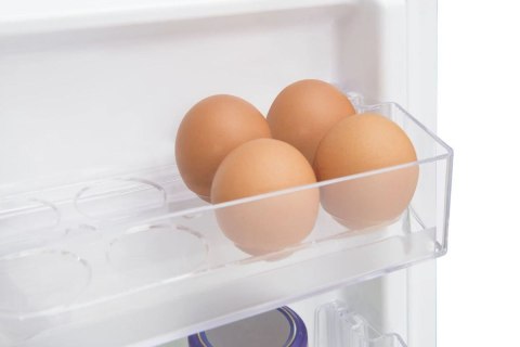 Chłodziarko-zamrażarka FK1815.4U(E) Amica