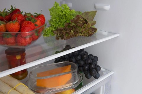 Chłodziarko-zamrażarka FK1815.4U(E) Amica