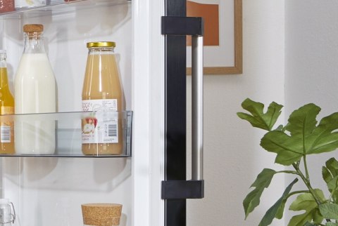 Chłodziarka R619EABK6 Gorenje