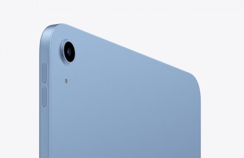 IPad WiFi + Cellular 11 cali 128 GB Niebieski Apple