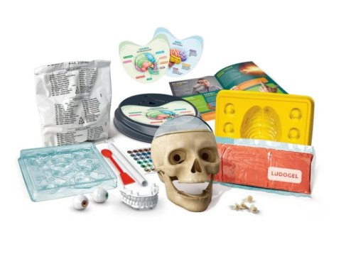 Naukowa Zabawa Zestaw Zwariowana Anatomia Język Polski Clementoni 50697 Clementoni