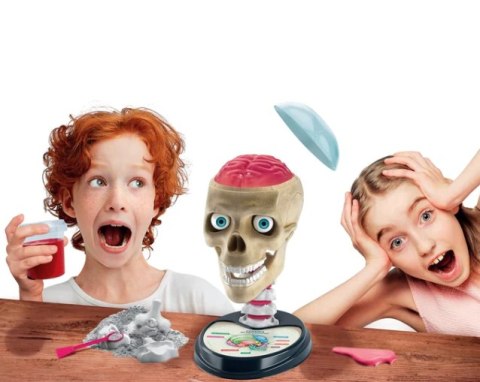 Naukowa Zabawa Zestaw Zwariowana Anatomia Język Polski Clementoni 50697 Clementoni