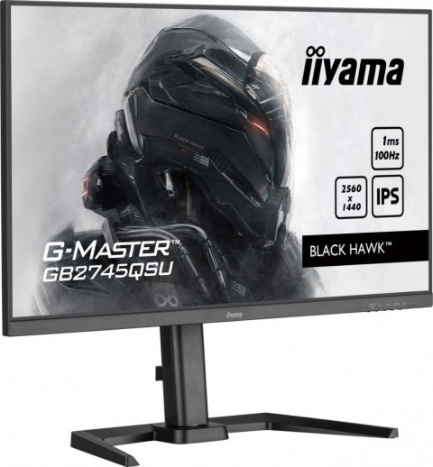 Monitor 27 cali GB2745QSU-B2,IPS,QHD,100Hz,1ms,2xUSB,300cd IIYAMA