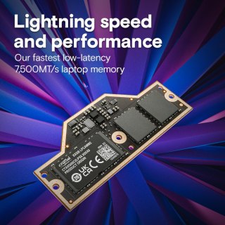 Pamięć do notebooka DDR5 LPCAMM2 64GB/7500 LPDDR5X Crucial