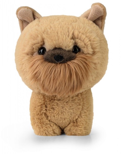 Maskotka TEDDY PETS Gryfonik brukselski Daffi