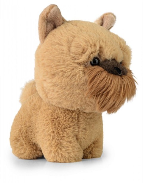Maskotka TEDDY PETS Gryfonik brukselski Daffi