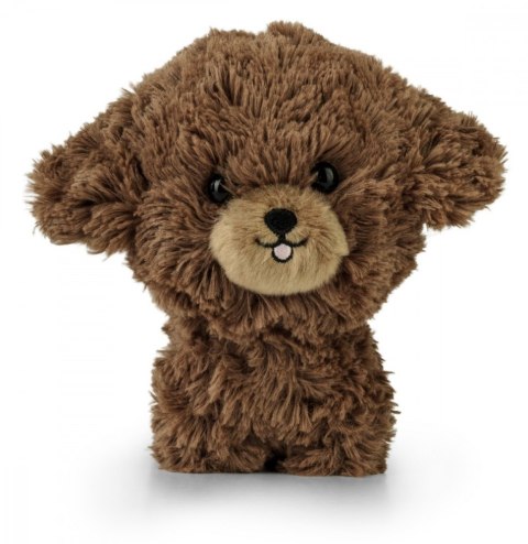 Maskotka TEDDY PETS Szczenię pudla Daffi